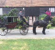 Horse and Carriage Hire in Enfield

